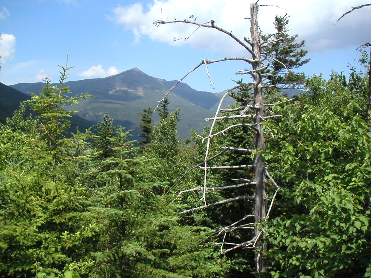 (Photo of Mount Washington from near Pinkham Notch)
